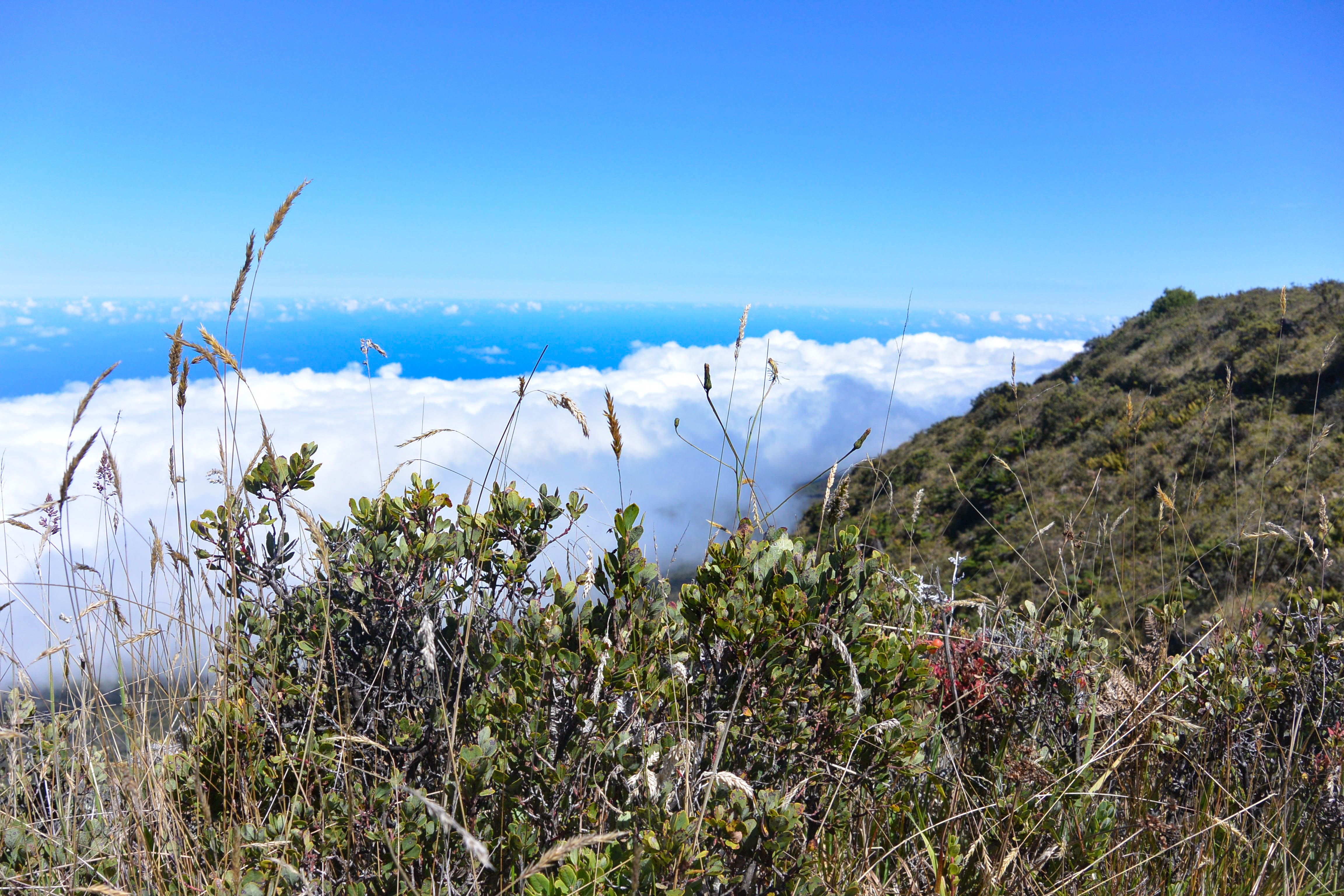 In the Clouds in Hawaii